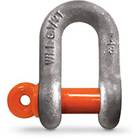 Buy Shackles, Links & Couplings, Hoisting & Rigging Systems