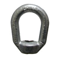Hot Dip Galvanized Eye Nut with 1"-8 Tap (7/8" Bail Stock)