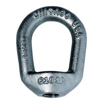 Chicago Eye Nut with 1/4"-20 Tap (1/4" Bail Stock)