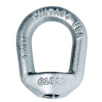 Chicago T316 Stainless Steel Eye Nut with 3/4"-10 Tap (5/8" Bail Stock)