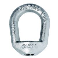 Chicago Hot Dip Galvanized Eye Nut with 1/2"-13 Tap (3/8" Bail Stock)
