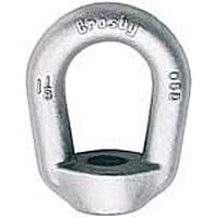 Crosby® G-400 #10 Hot Dip Galvanized Eye Nut with 1-1/2"-6 Tap (1-1/2" Bail Stock)