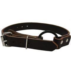 Buckingham Leather Lower Ankle Climber Straps 1"x26"