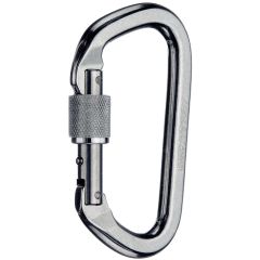 SMC Locking D Aluminum Carabiner - Screw Locking - Silver