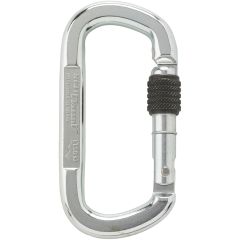 Austrialpin Asymm Oval Steel Carabiner - Screw Locking - Bright